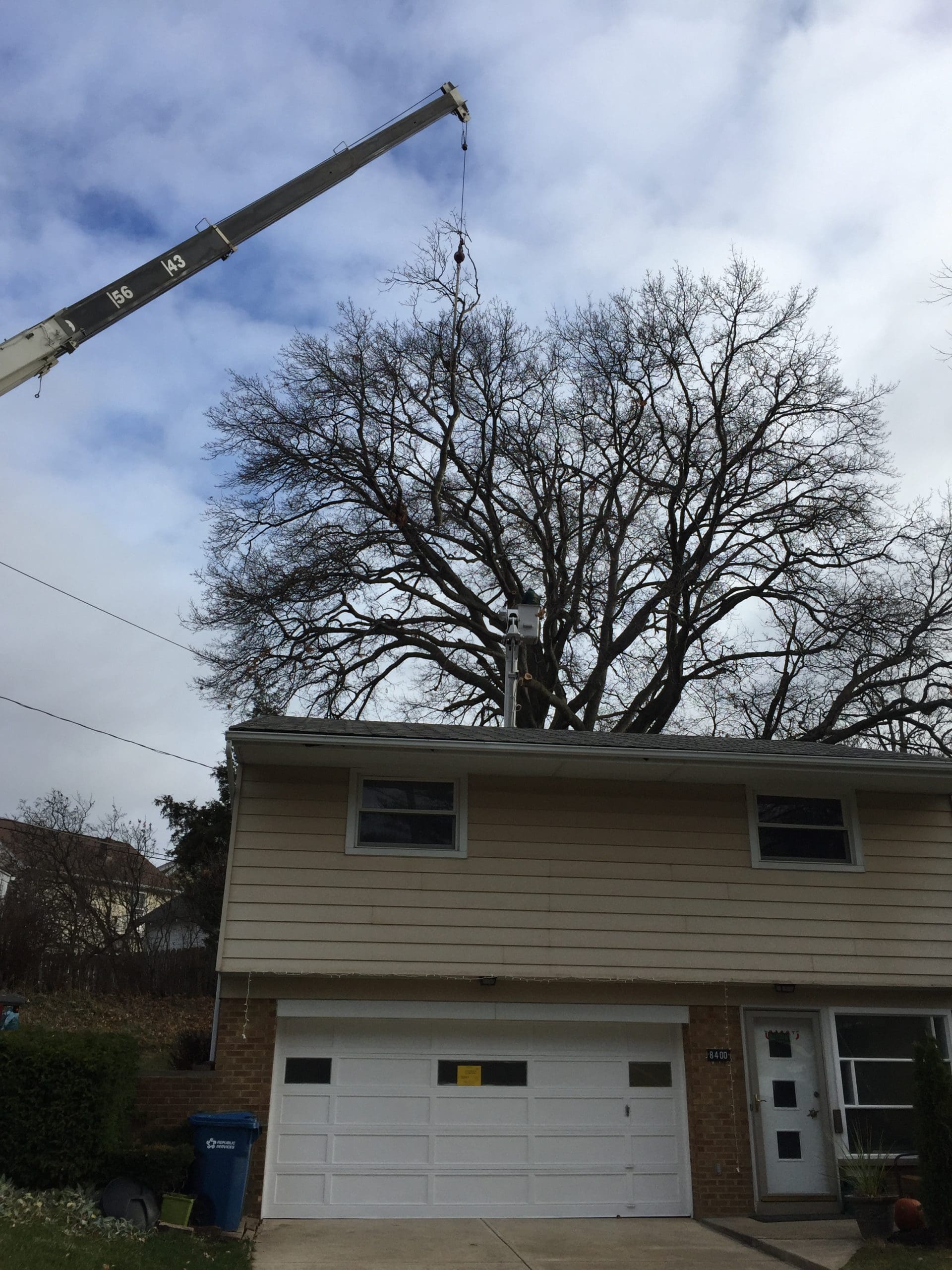 A crane from Jim's All Seasons, LLC in Cleveland, OH removing an old tree from a clients backyard